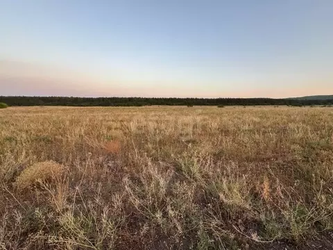 Участок в Крым, Белогорский район, Вишенское с/пос, с. Белая Скала  ...
