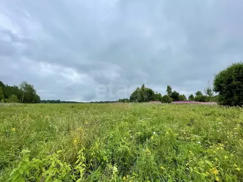 Участок в Смоленская область, Смоленский муниципальный округ, д. ...