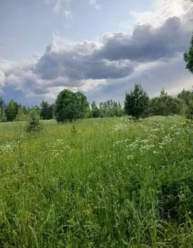 Участок, 500 сот., сельхоз (снт или днп)