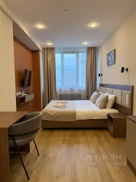 1-к кв. Санкт-Петербург Песочная наб., 42к2 (56.0 м)