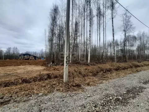 Участок в Вологодская область, Череповец ул. Кружевная (8.0 сот.)