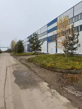 Помещение свободного назначения в Московская область, Домодедово Белые ...