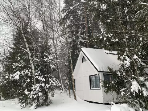 Дом в Московская область, Богородский городской округ, д. Дядькино ...