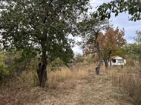 Участок в Саратовская область, Саратов Жасмин СНТ,  (8.0 сот.)