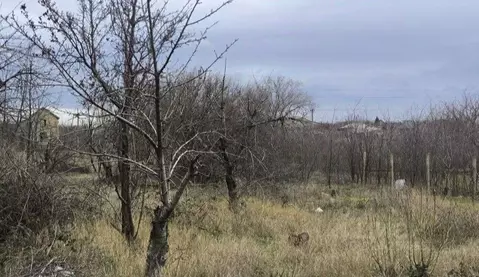 Участок в Крым, Симферопольский район, Урожайновское с/пос, СНТ Весна ...