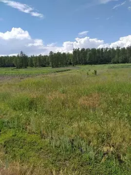 Участок в Белгородская область, Старооскольский городской округ, с. ...