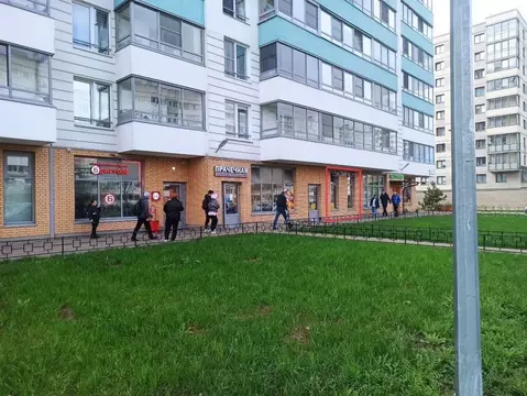 Помещение свободного назначения в Санкт-Петербург ул. Тамбасова, 3к1 ...