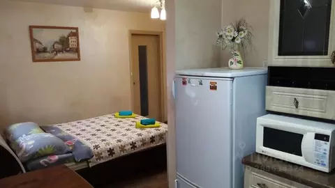 Студия Пермский край, Пермь ул. Мира, 71 (25.0 м)