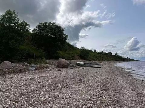 Участок в Новгородская область, Старорусский район, Наговское с/пос, ...