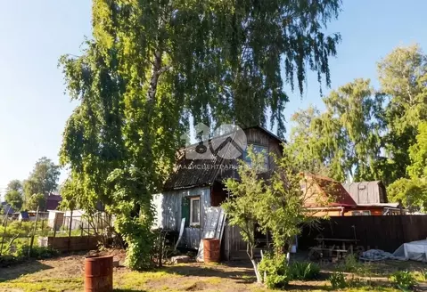 Участок в Новосибирская область, Новосибирск Печатник СНТ, 246 (6.4 ...
