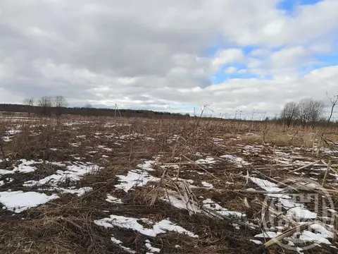 Участок в Ленинградская область, Волосовский район, Рабитицкое с/пос, ...