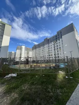Студия Санкт-Петербург пос. Шушары, просп. Старорусский, 5к2 (20.0 м)