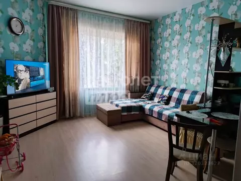 Студия Калужская область, с. Совхоз Боровский ул. Молодежная, 13 (29.4 ...