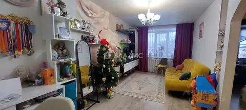 2-к кв. Владимирская область, Судогда Пролетарская ул., 29 (43.8 м)