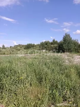 Участок в Тюменская область, Тюмень Поляна садовое общество, ул. ...