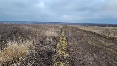 Участок в Белгородская область, Белгородский район, Крутологское ...