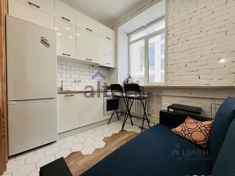 Студия Татарстан, Казань Университетская ул., 4 (22.0 м)