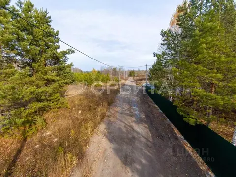 Участок в Тюменская область, Тюмень Велижанский тракт, 7-й км (13.8 ...