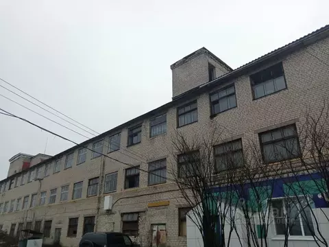 Помещение свободного назначения в Нижегородская область, Семенов ...