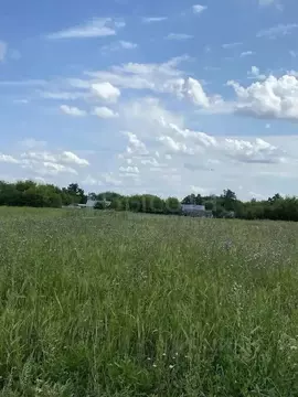Участок в Воронежская область, Верхнехавский район, Спасское с/пос, с. ...