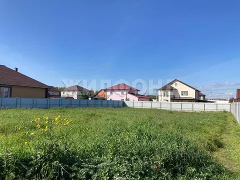 Участок в Новосибирская область, Новосибирский район, Станционный ...