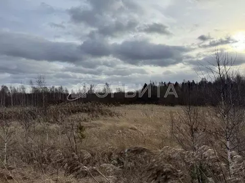 Участок в Тюменская область, Тюмень  (109.0 сот.)