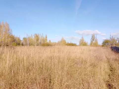 Участок в Тульская область, Донской Руднев мкр, Новая ул., 17 (12.0 ...