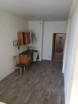 Студия Красноярский край, Красноярск ул. Вильского, 16 (32.3 м)