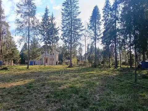 Участок в Московская область, Пушкинский городской округ, д. Могильцы  ...