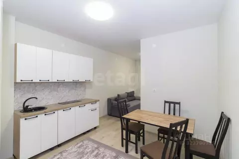 Студия Тюменская область, Тюмень ул. Геннадия Райкова, 19 (24.0 м)