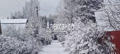 Дом в Ленинградская область, Выборгский район, Рощинское городское ...