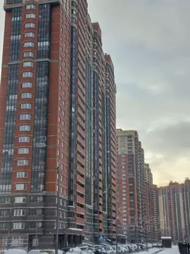 Студия Санкт-Петербург пос. Парголово, проезд Толубеевский, 24 (21.0 ...