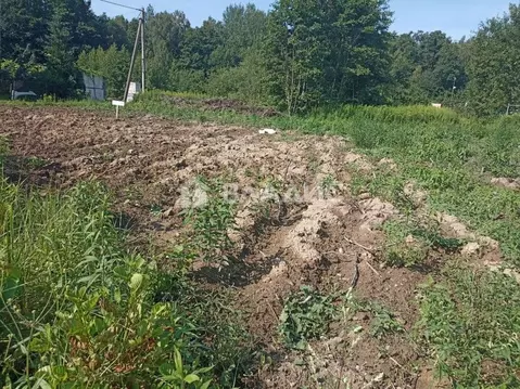 Участок в Калининградская область, Гурьевский муниципальный округ, ...