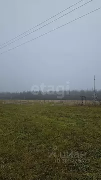 Участок в Коми, Корткеросский район, Додзь муниципальное образование, ...