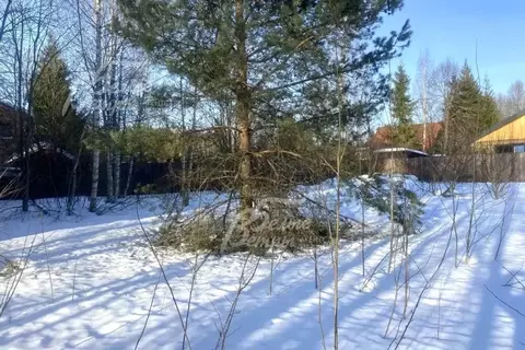 Участок в Московская область, Наро-Фоминский городской округ, д. ...
