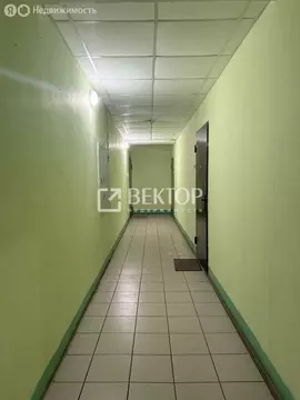 1-комнатная квартира: Иваново, Революционная улица, 24к1 (53 м)