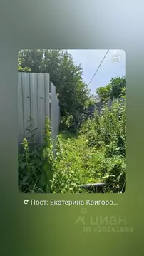 Участок в Пермский край, Пермь Машиностроитель СНТ, № 1 сад, 1 (633.0 ...