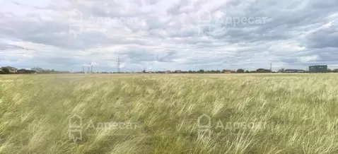 Участок в Волгоградская область, Городищенский район, Царицынское ...