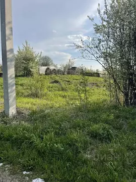 Участок в Томская область, Томский район, Надежда СНТ  (6.0 сот.)