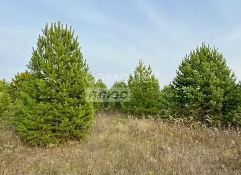 Участок в Тюменская область, Тюменский муниципальный округ, Каменское ...