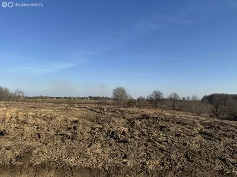 Участок в Калининградская область, Гурьевский муниципальный округ, ...