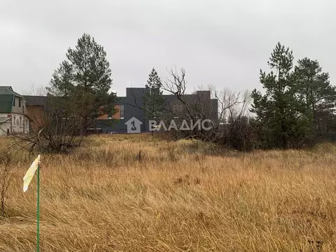 Участок в Воронежская область, Рамонский район, Айдаровское с/пос, с. ...