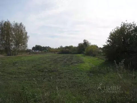 Участок в Рязанская область, Спасский район, Панинское с/пос, с. ...