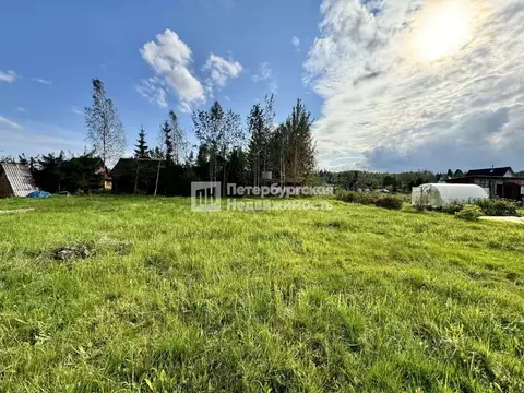 Участок в Ленинградская область, Тосненский район, Любанское городское ...