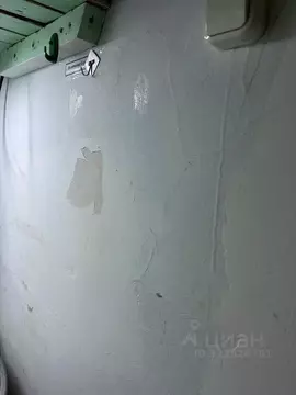 Помещение свободного назначения в Амурская область, Тында ул. Красная ...