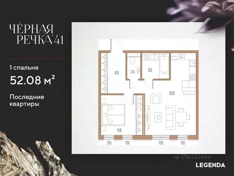 1-к кв. Санкт-Петербург наб. Черной речки, 35 (52.08 м)