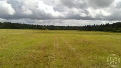 Участок в Ленинградская область, Волосовский район, Клопицкое с/пос, ...