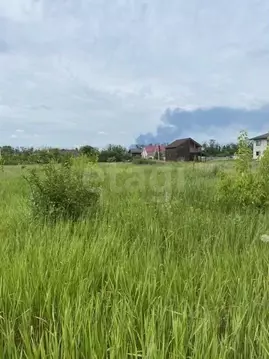 Участок в Воронежская область, Новоусманский район, Никольское с/пос, ...