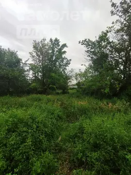 Участок в Астрахань, садоводческое некоммерческое товарищество ...