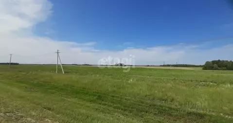 Участок в Тюменская область, Тюменский район, с. Борки  (22.36 сот.)